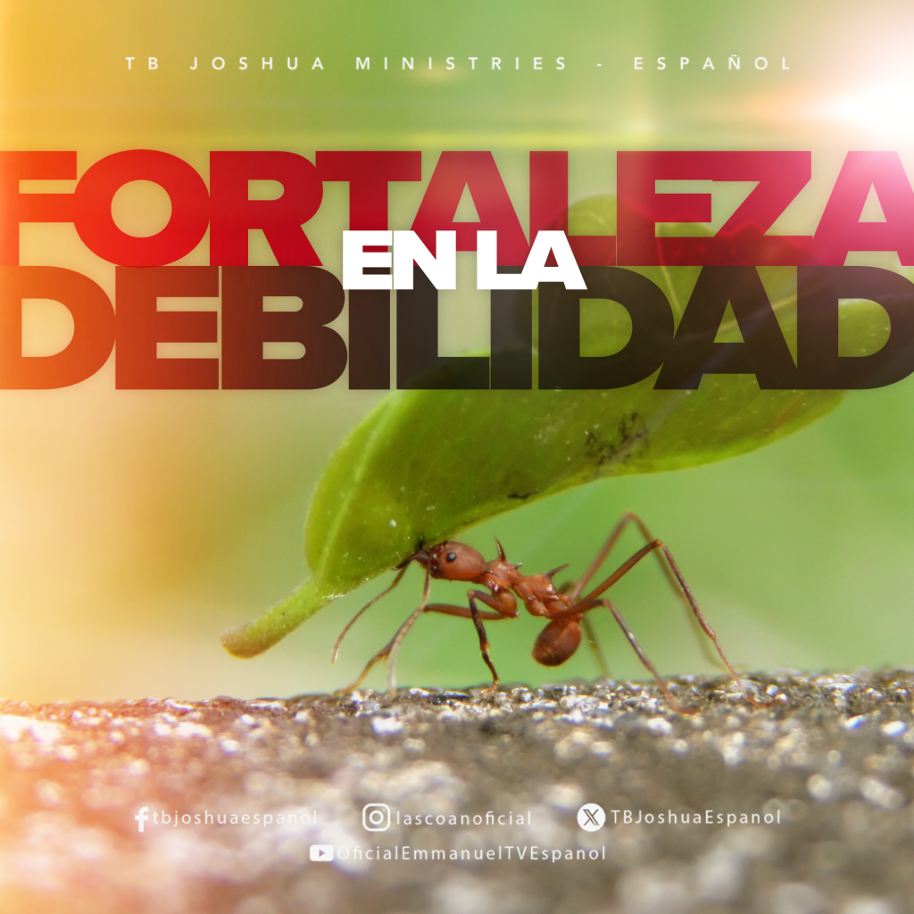 Fortaleza en la debilidad
