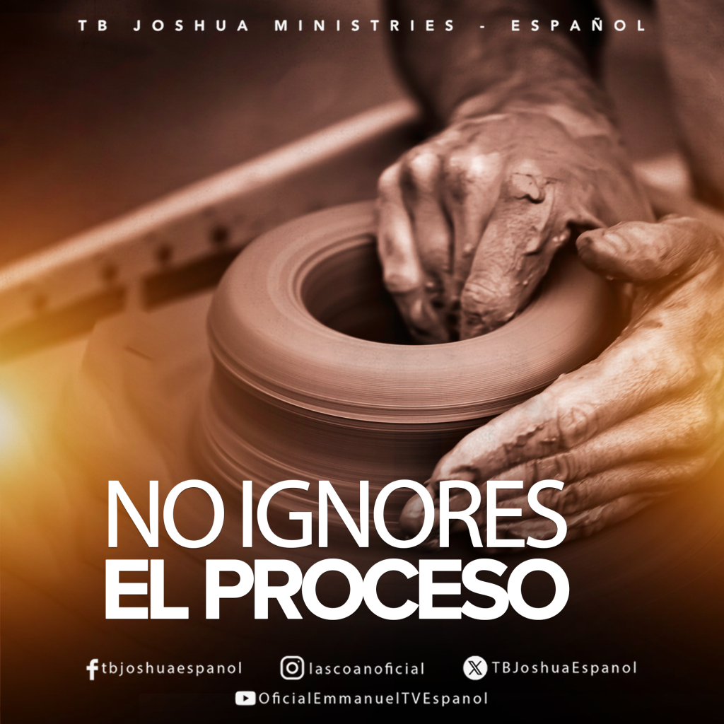NO IGNORES EL PROCESO