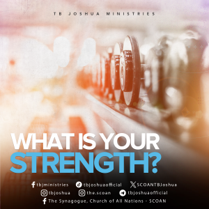 WHAT IS YOUR STRENGTH?