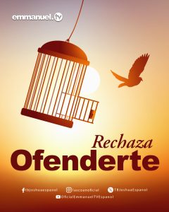 RECHAZA OFENDERTE