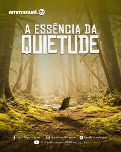 A Essência da Quietude