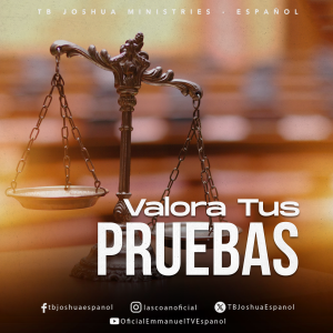 Valora Tus Pruebas