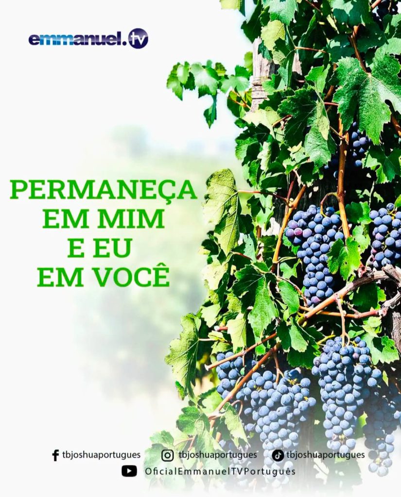 PERMANEÇAM EM MIM, E EU PERMANECEREI EM VOCÊS