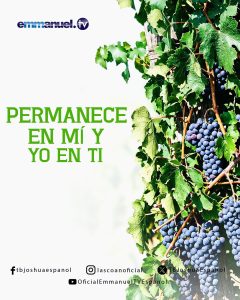 PERMANECE EN MÍ Y YO EN TI