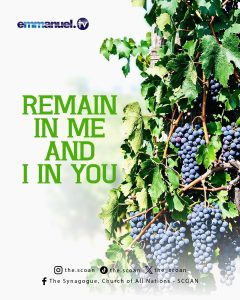 REMAIN IN ME AND I IN YOU